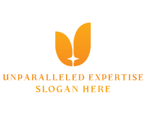 Orange Star Tulip logo design