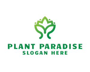 Green Lotus Plant logo design