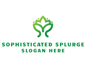 Green Lotus Plant logo design