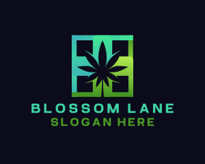 Cannabis Herbal Medicine Logo