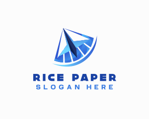 Paper Plane Courier logo design