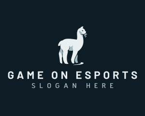 Alpaca Llama Animal Logo