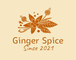 Star Anise Spices logo design