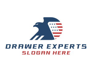 USA Eagle Letter D logo design