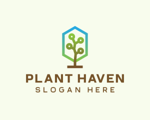 Forest Tree Plant  logo design