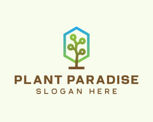 Forest Tree Plant  logo design