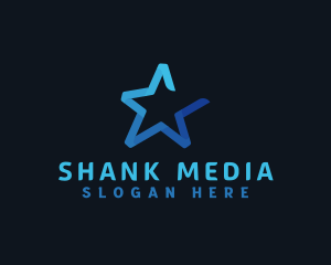 Professional Star Company logo design