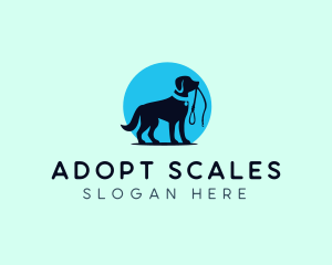 Dog Trainer Leash logo design