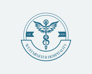 Pharmacy Medical Caduceus logo design