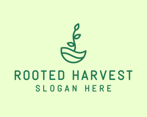 Green Natural Eco Plant logo design