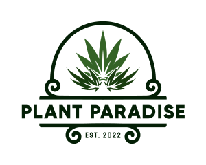 Organic Marijuana Plant logo design