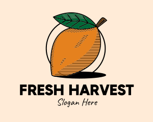 Rustic Mango Fruit logo design