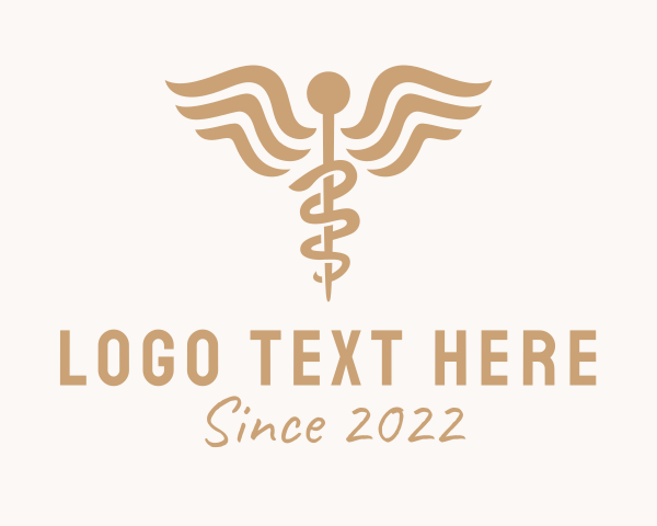 Healthcare logo example 1