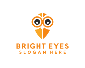 Owl Bird Eye logo design