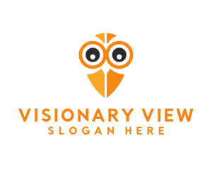 Owl Bird Eye logo design