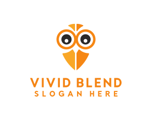 Owl Bird Eye logo design