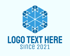 Geometric Blue Snowflake logo