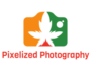 Cannabis Camera Photography logo design