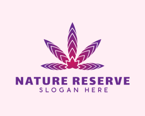 Natural Herbal Leaf logo design