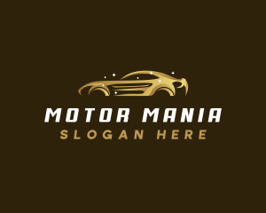 Premium Detailing Vehicle logo design