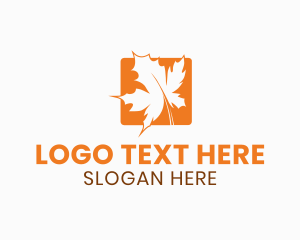 Orange Maple Leaf Logo