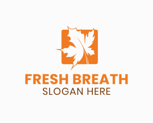 Orange Maple Leaf logo design