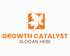 Orange Maple Leaf logo design