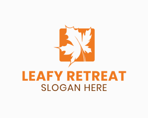 Orange Maple Leaf logo design