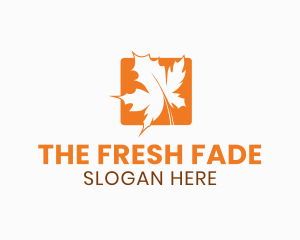 Orange Maple Leaf logo design