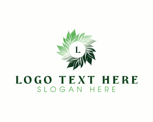 Eco Organic Leaves logo