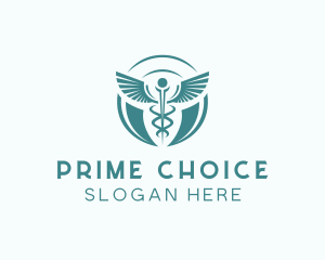 Clinical Health Doctor logo design