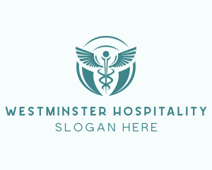 Clinical Health Doctor logo design