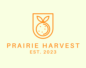 Orange Fruit Harvest logo design