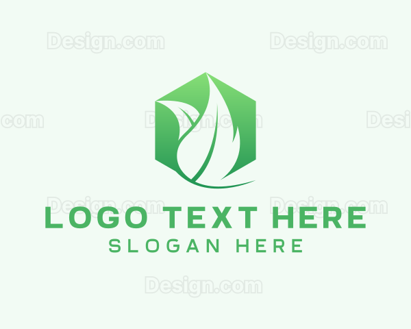 Hexagon Leaf Plant Herb Logo