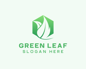 Hexagon Leaf Plant Herb logo design