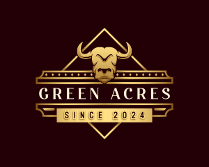 Buffalo Ranch Barn logo design