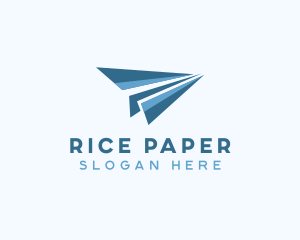 Paper Plane Aviation logo design