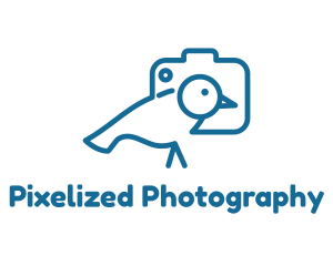 Baby Bird Infant Photographer logo design