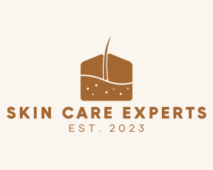 Dermatology Skincare House logo