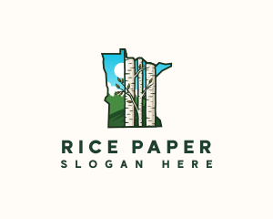 Minnesota Birch Tree logo design