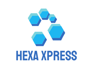 Blue Hexagon Hive logo design