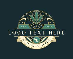 Agave Plant Mexico  logo