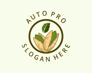 Organic Pistachio Nut logo