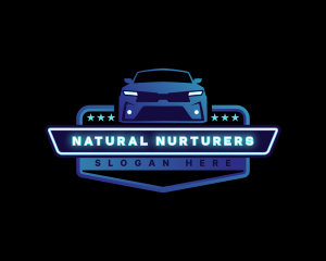 Car Vehicle Detailing logo design