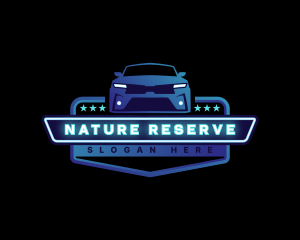 Car Vehicle Detailing logo design