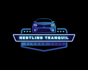 Car Vehicle Detailing logo design