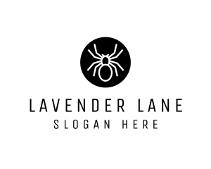 Spider Circle logo design