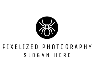 Spider Circle logo design