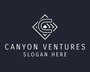 Professional Business Venture logo design