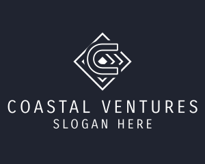 Professional Business Venture logo design